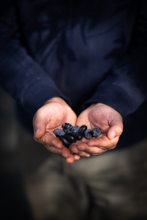 Organic Kalamata Olives - 500g