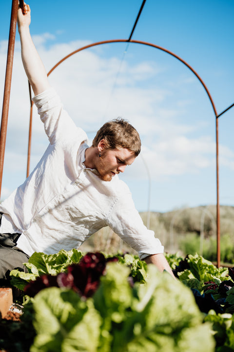 Growing Vegetables in Winter vs Summer: What Really Works Better in Our Garden