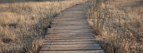 This is not a sponsored post – It’s a tap on the shoulder